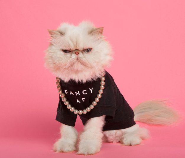 Photoshop? What is this all about?