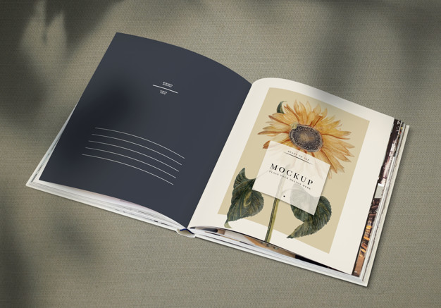 Adobe InDesign