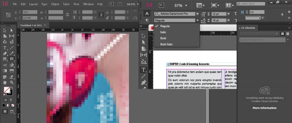 Adobe InDesign