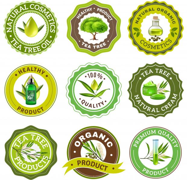 Creating a vector graphic with Adobe Illustrator allows the logo the ability to view it at its highest quality.
