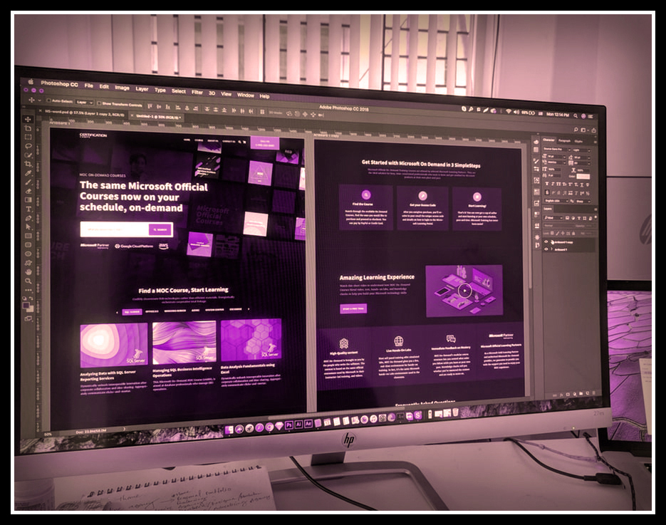 Discover what each design app does best