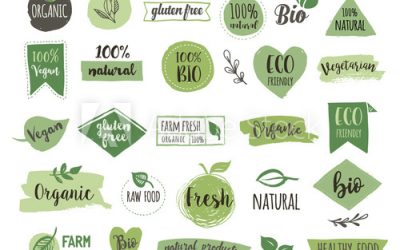 Graphic Design Courses Clydebank