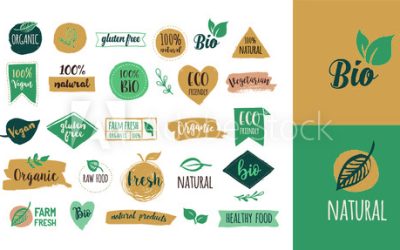 Graphic Design Courses Fleetwood