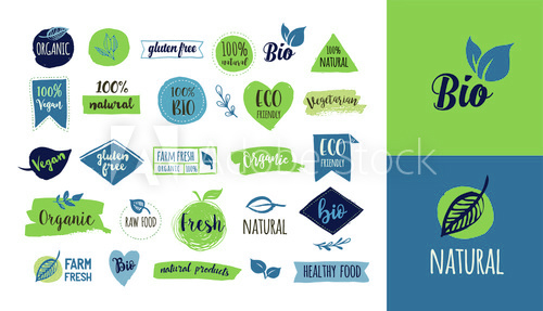 Graphic Design Jobs at Entry Level