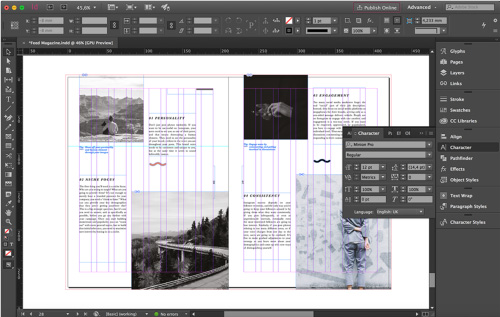 Adobe InDesign