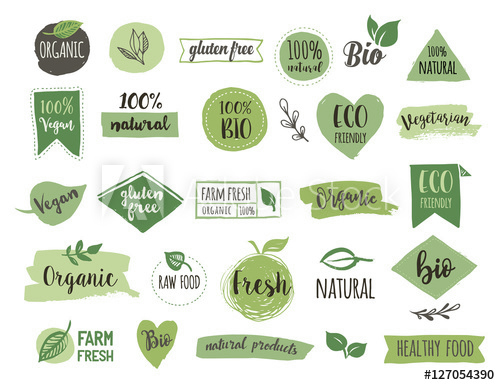 Skills every designer should have