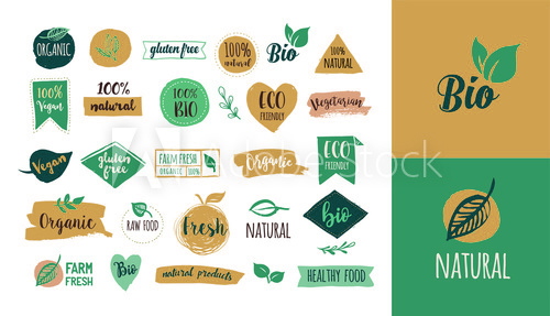 Typical Job Offers for Graphic Designers