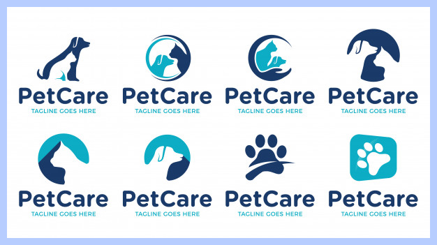 What is the work of a graphic designer