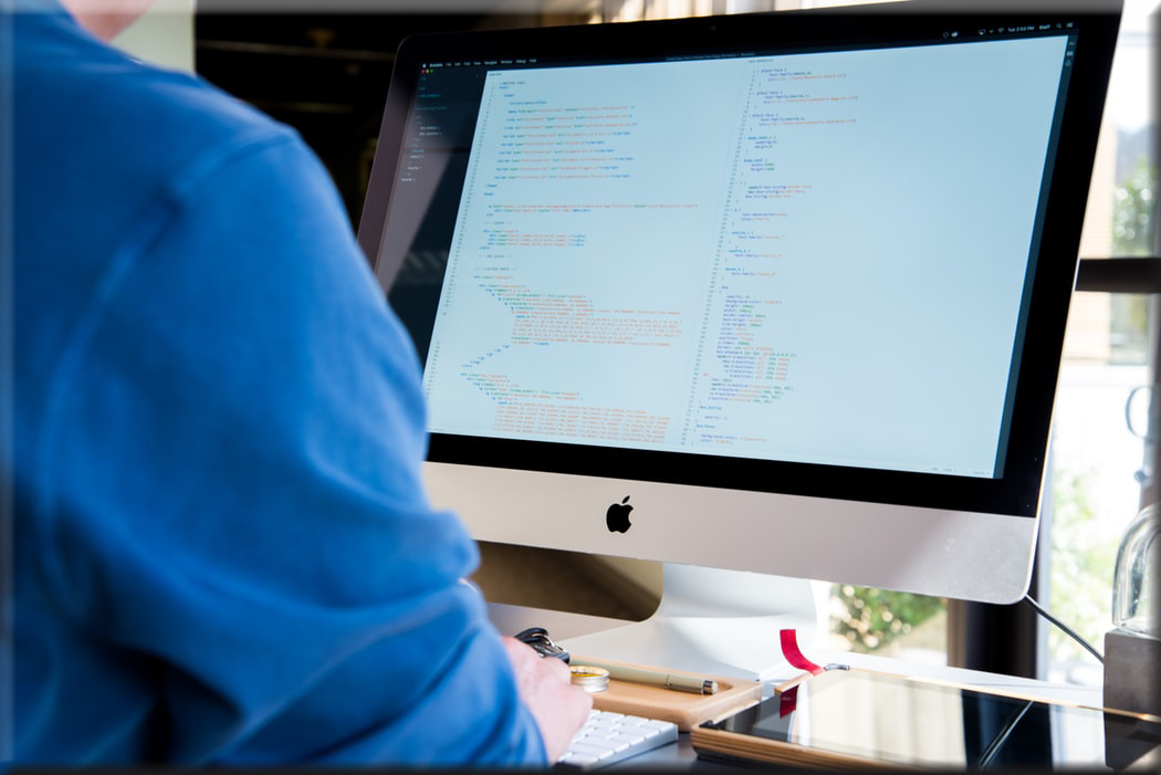 WordPress growth