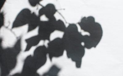 Create shadows in seconds using AI with Adobe Photoshop