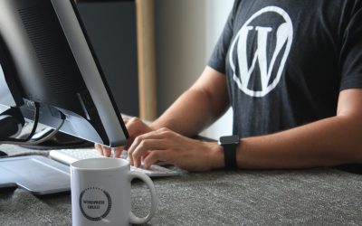 Free lessons in WordPress