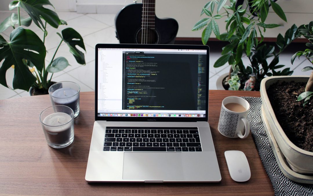 From novice to pro: Dive into the art of web design with WordPress