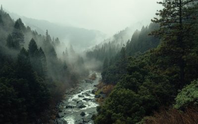 How to change landscapes in seconds with Adobe Photoshop