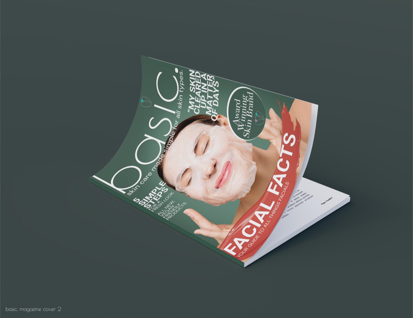 Magazine mock up 2-resized