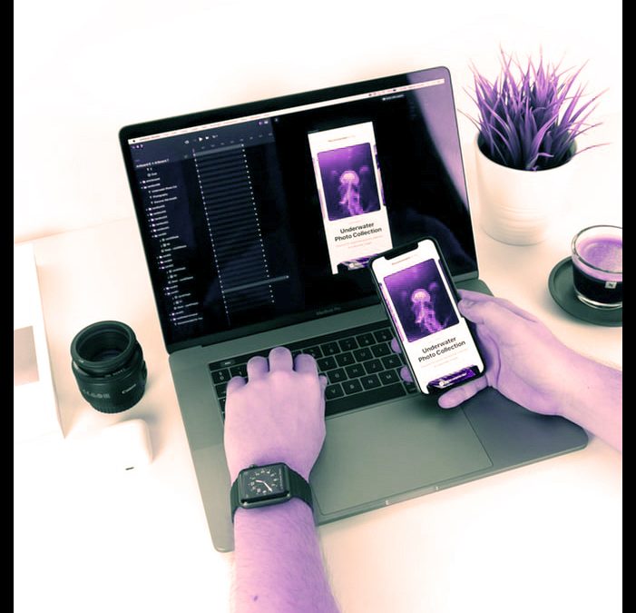 Online Graphic Designer Training