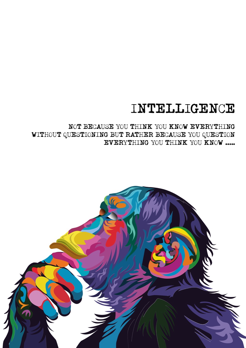 Portfolio-17-resized