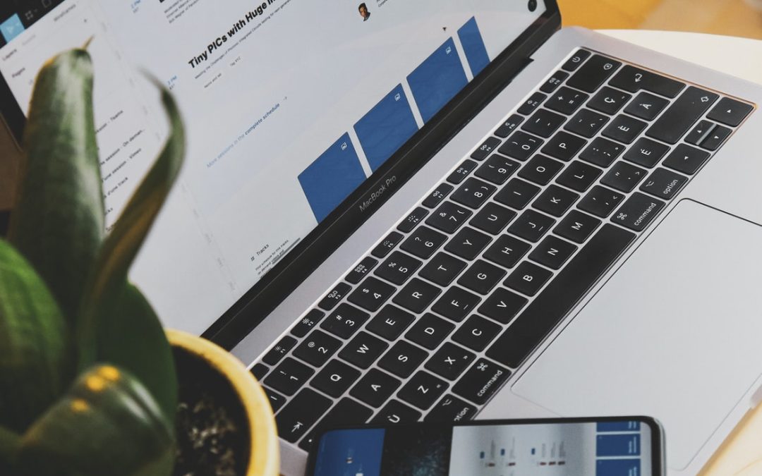 What Technical And Creative Skills Are Needed To Become A Successful Graphic Designer?