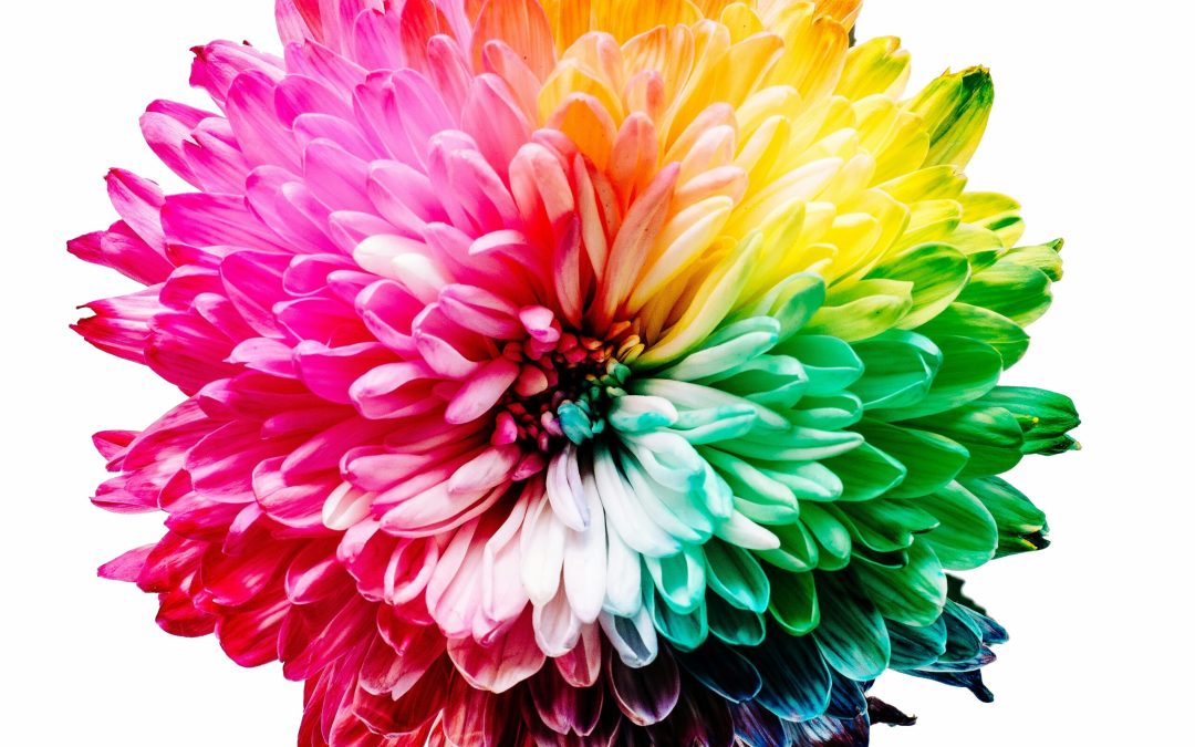 How to create a flower design for free with Adobe Illustrator